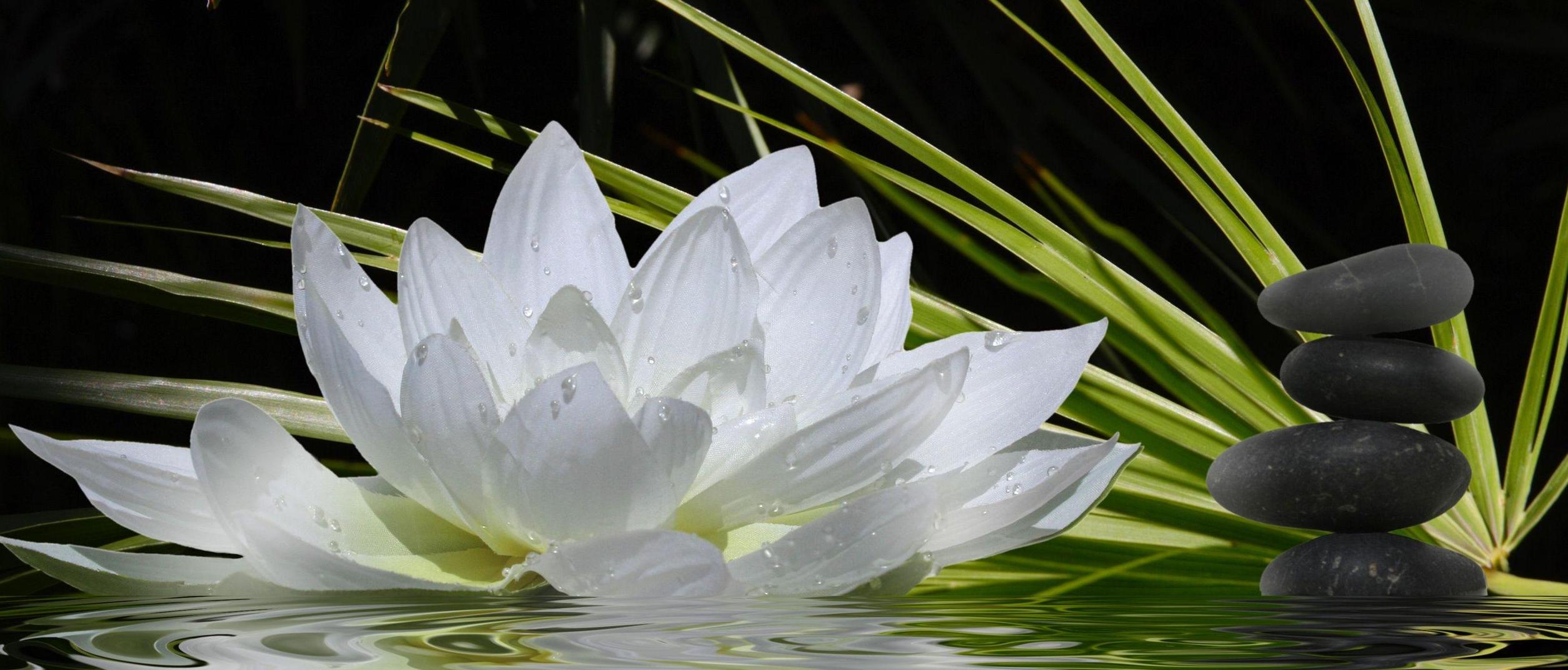 Golden Flower Abbey community gathering